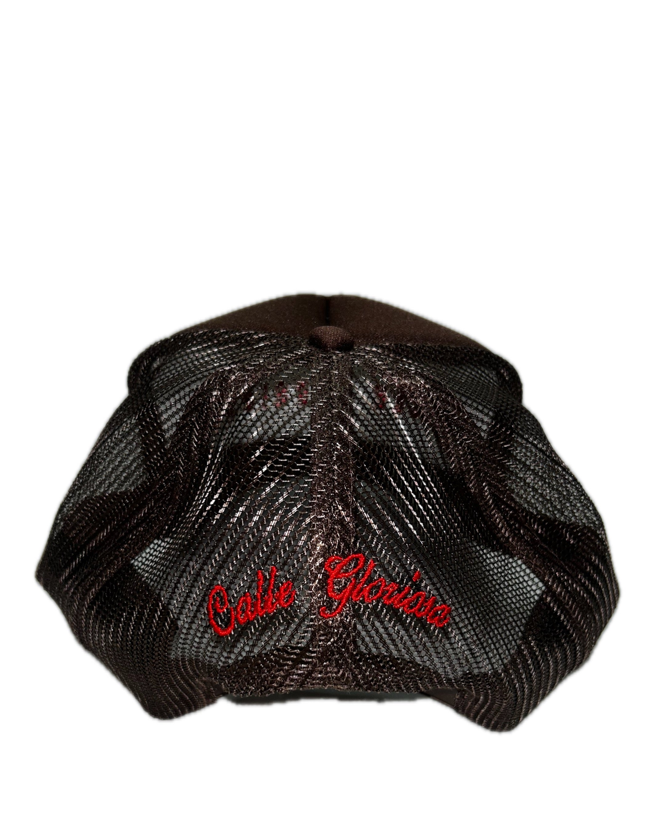 Glori Ttrucker hat (brown)